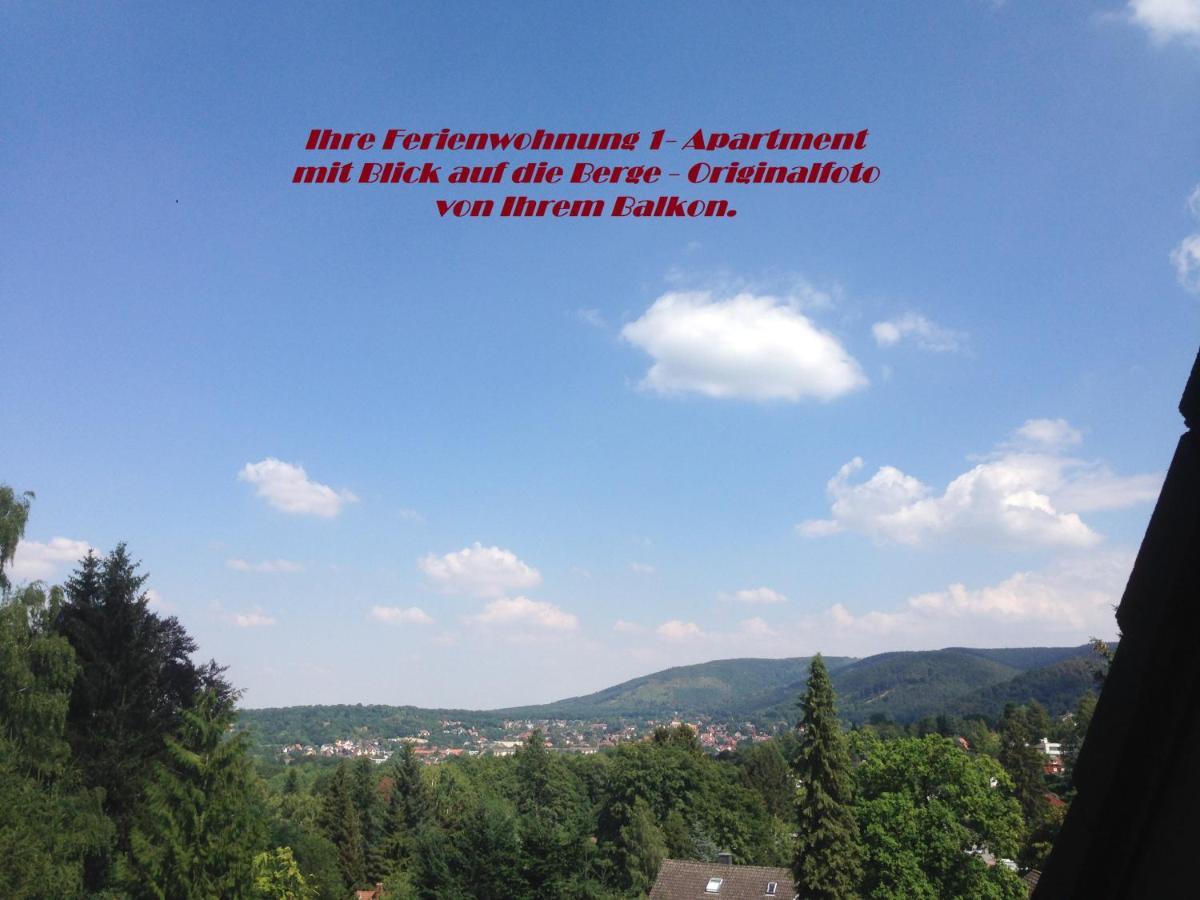 Ferienwohnungen Am Elfenstein Bad Harzburg Bagian luar foto