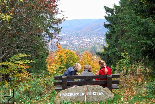Ferienwohnungen Am Elfenstein Bad Harzburg Bagian luar foto