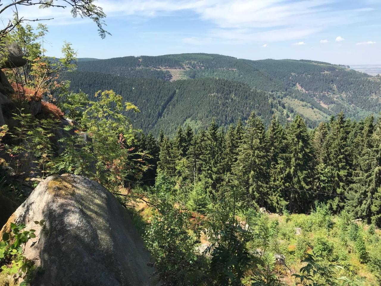Ferienwohnungen Am Elfenstein Bad Harzburg Bagian luar foto