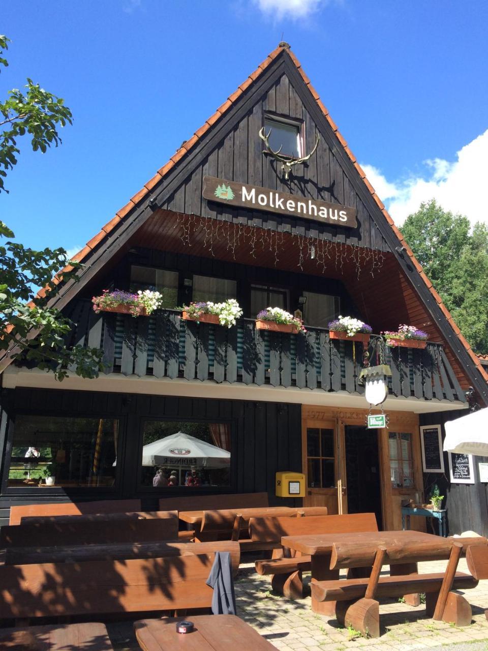 Ferienwohnungen Am Elfenstein Bad Harzburg Bagian luar foto