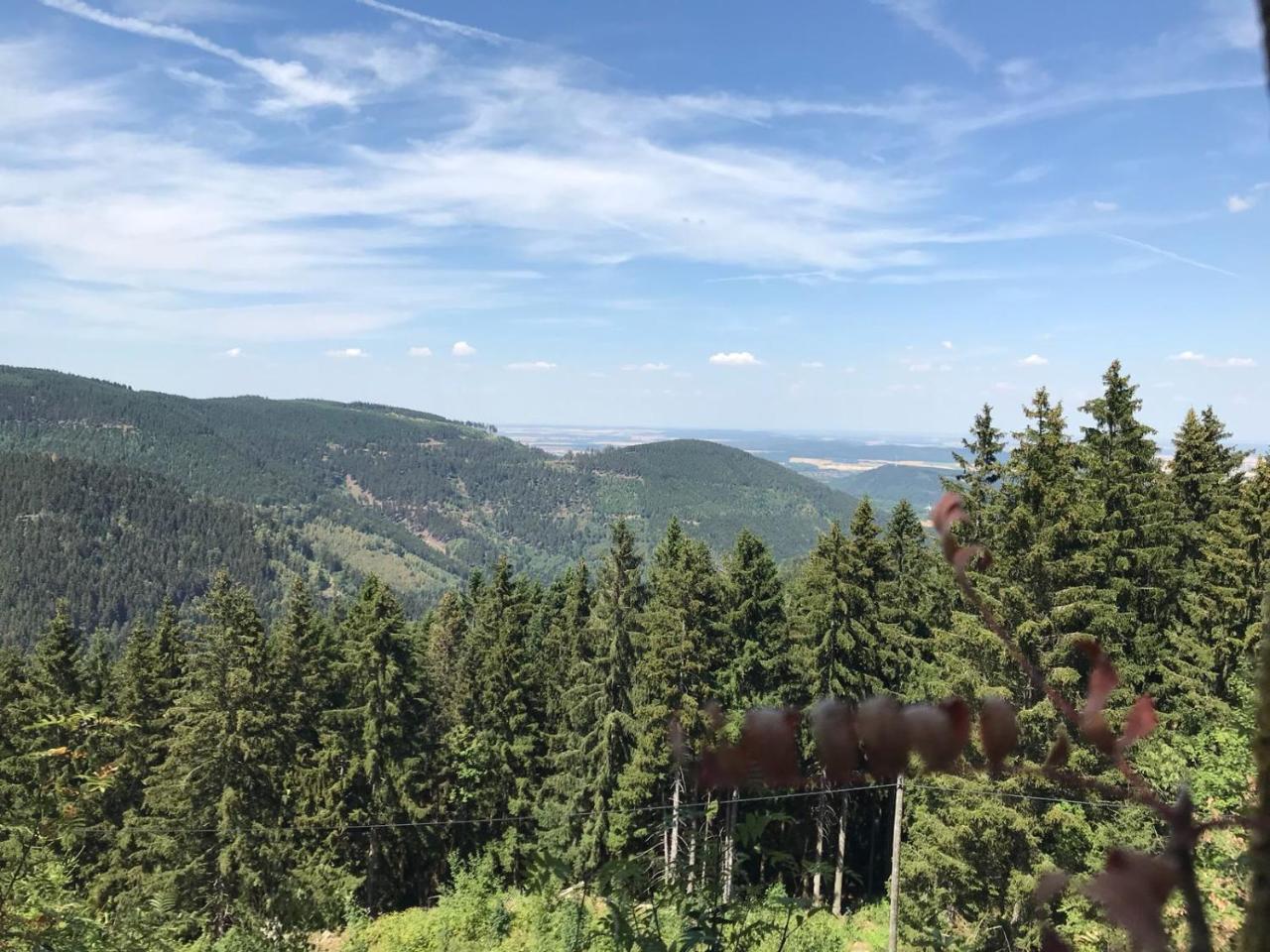 Ferienwohnungen Am Elfenstein Bad Harzburg Bagian luar foto