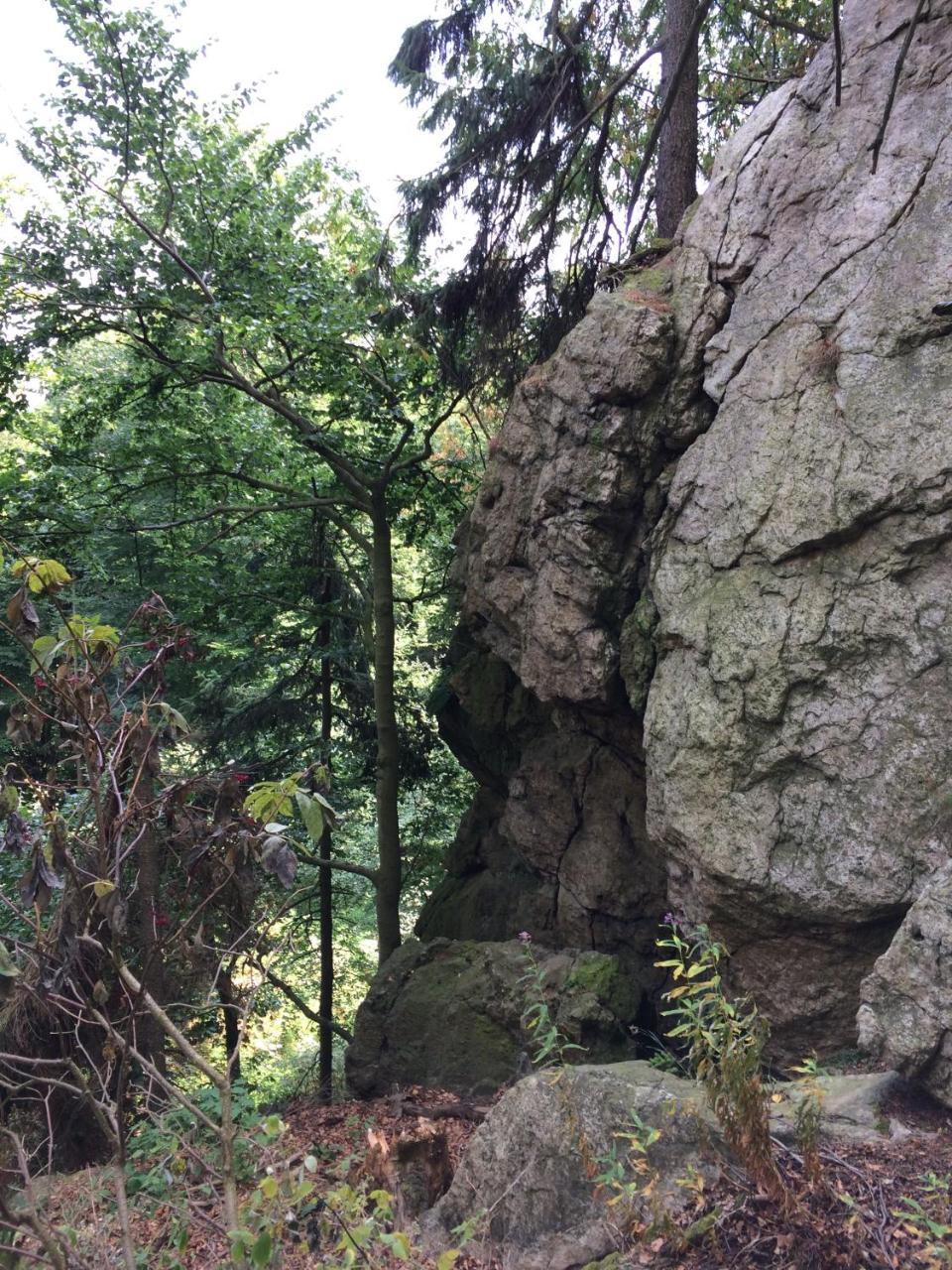 Ferienwohnungen Am Elfenstein Bad Harzburg Bagian luar foto