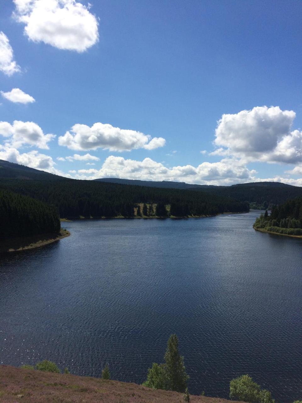 Ferienwohnungen Am Elfenstein Bad Harzburg Bagian luar foto